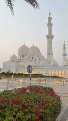 a large white building with many lights on it's sides and flowers in the foreground