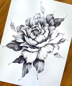 a black and white drawing of a flower on a piece of paper with watercolor pencils