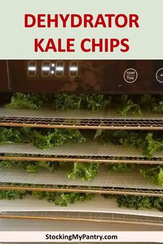 lettuce is growing in the refrigerator with text overlay that reads, dehydrator kale chips