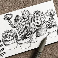 Oil Aesthetic, Succulents Drawing, Ink Pen Art, Pen Art Work, Botanical Line Drawing, Nature Art Drawings, Art Drawings Sketches Pencil