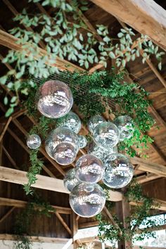 an arrangement of clear glass balls hanging from a wooden ceiling in a rustic wedding venue