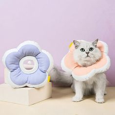 a white cat standing next to a blue and pink flower shaped pillow on top of a table