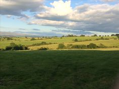 a grassy field with trees and clouds in the background