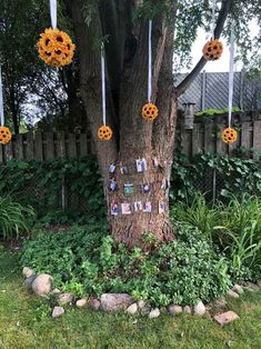 a tree with pictures pinned to it in the grass next to some rocks and flowers