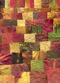 a quilt made out of leaves with different colors and shapes on it's sides