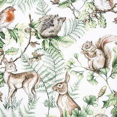 an image of animals and plants on a white background with green leafy branches in the foreground