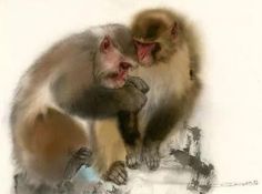 two monkeys sitting next to each other on a white surface