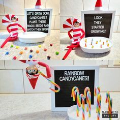 some candy canes and signs on a counter