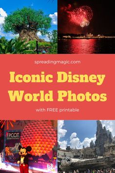 the disney world photos with text overlay