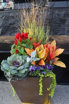 a planter filled with lots of different types of flowers