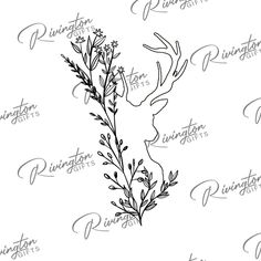 a drawing of a plant with the word's name written in cursive writing