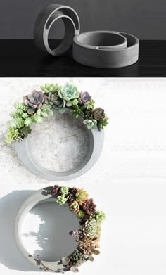 two rings with succulents on them and one is made out of concrete