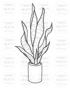 a black and white drawing of a potted plant with the words jimmy heath on it