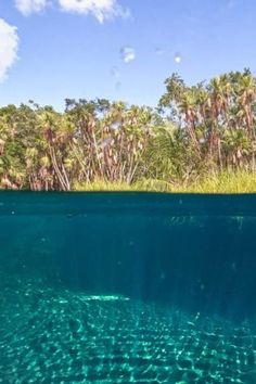 the water is very clear and blue with little ripples on it's surface