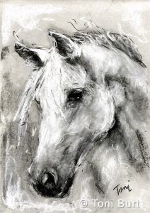 a black and white drawing of a horse