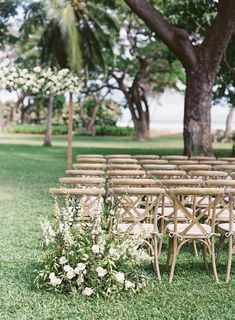 rows of wooden chairs with white flowers on them in front of some trees and grass