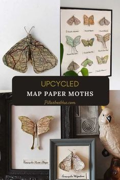 some framed pictures with moths on them and the words upcycled map paper moths