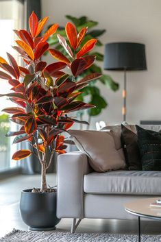 a living room filled with furniture and a potted plant