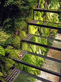 the stairs are covered with plants and rocks