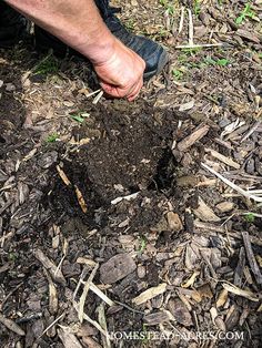 a man is digging in the ground with his hand