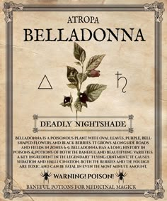 Belladonna A Botanists Guide To Parties And Poisons, Poisonous Flowers For Humans, Dark Botany Aesthetic, Poison Fantasy Art, Flowers With Dark Meaning, Poisonous Plants Aesthetic, Harry Potter Plants Herbology, Poisoner Aesthetic, Poisons Flowers