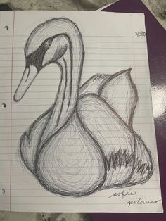 a drawing of a swan sitting on top of a piece of paper