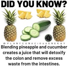 Pineapple And Cucumber, Pineapple Cucumber, Smoothie Bar, Nutrition Plan, Healthy Drinks Smoothies, Juicing For Health, Healthy Drinks Recipes