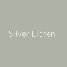 the words silver lichen on a gray background