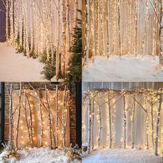 four different pictures of trees and lights in the snow, one is decorated with white branches