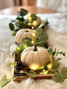 some white pumpkins and greenery in a wooden tray on a furnishing