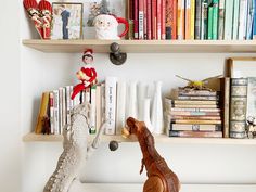 there is a book shelf with many books on it and a toy alligator in the foreground