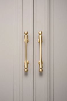 two golden handles on the front door of a house