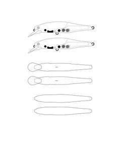 several different types of scissors on a white background