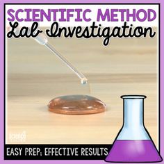 Model Dna, Scientific Method Lab, Scientific Method Worksheet, Decorated Sugar Cookie, Elementary Science Activities, Transcription And Translation, Biology Resources, Dna Replication, Lab Activities