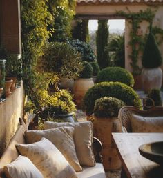 an outdoor seating area with potted plants