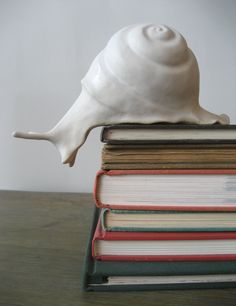 a snail is sitting on top of some books