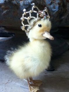 a small duck wearing a tiara on its head