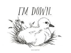 a black and white drawing of a duckling in grass with the words i'm down