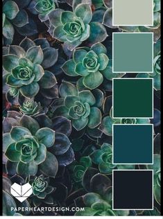 some green plants with blue and grey colors in them, the color scheme is very similar to