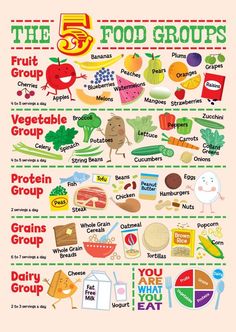 the five food groups poster is shown