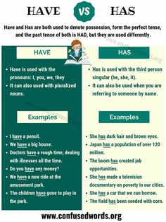 the differences between have and has in an english text book, which is also used to describe