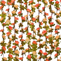 a bunch of flowers that are on a white surface with green leaves and red stems