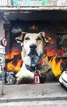 mural of a dog Viral Photos, Riot Police, Austerity, Detailed Map, Travel Maps