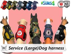 the service dogs harnesses are all different colors and sizes, but one is for each dog