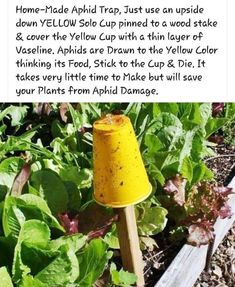 a yellow lamp sitting in the middle of a garden