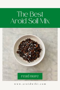 the best aroid soil mix is in a white bowl on a marble countertop