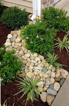 some rocks and plants in front of a house