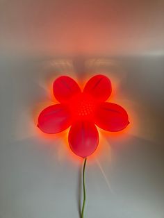 a red flower is lit up by the light coming from it's center point