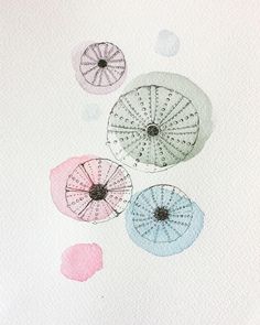 watercolor and ink drawings of flowers on white paper with pink, blue and green circles