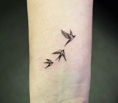 Tiny Swallow Tattoos For Women, Tattoo Ideas Swallows, 3 Swallow Bird Tattoo, Tiny Swallow Tattoo, 3 Swallows Tattoo, 3 Small Birds Tattoo, 3 Bird Tattoo, Mini Bird Tattoo